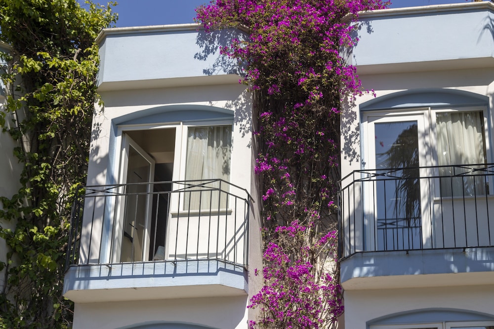 Smart Stay Beach Bodrum - Her şey dahil - Image 5