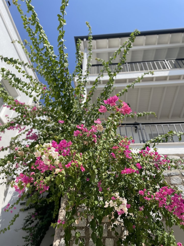Noa Suite Otel - Yetişkinlere Özel - Image 50