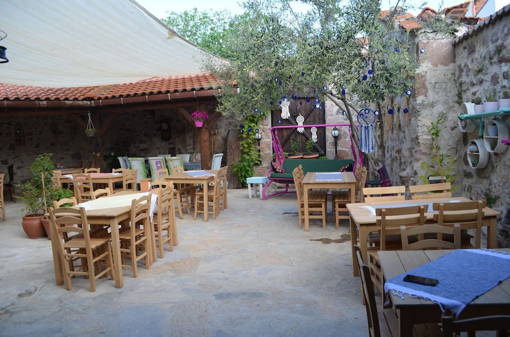 Nezisin Konağı - Image 18
