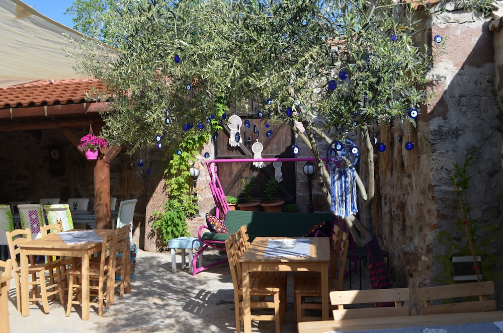 Nezisin Konağı - Image 10