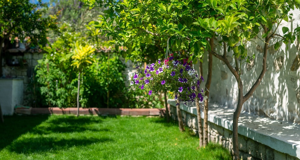 Flores Hotel Alaçatı - Image 17