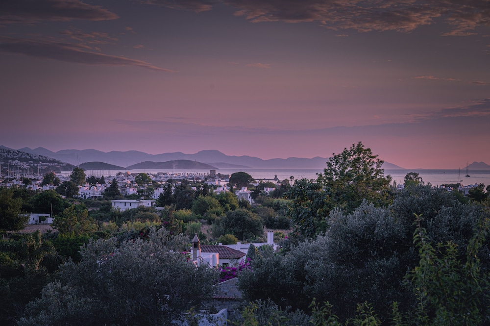 4Reasons Otel ve Bistro - Image 157