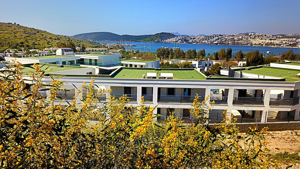 Jasmin Elite Residence & SPA - Image 111