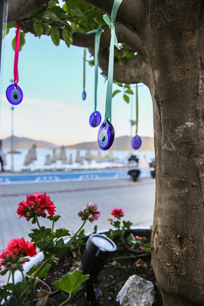 B&B Yüzbaşı Beach Otel - Image 30